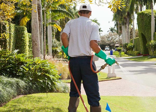 About Hazel SD Pest Control